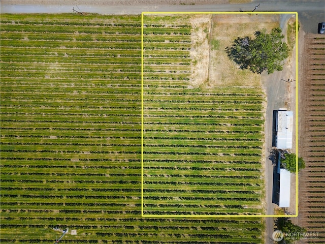 0 Trumbull, Milton-Freewater, OR 97862 - photo 6