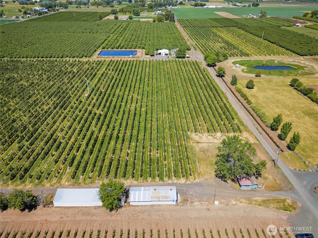 0 Trumbull, Milton-Freewater, OR 97862 - photo 3