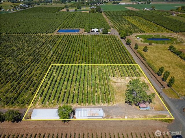 0 Trumbull, Milton-Freewater, OR 97862 - photo 4