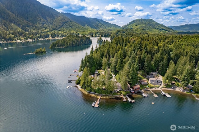 33571 Cliff Rd, Mount Vernon, WA 98274 - aerial view of a forest and a water and mountain view