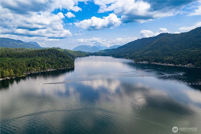 33571 Cliff Rd, Mount Vernon, WA 98274 - water view featuring a forest and mountains