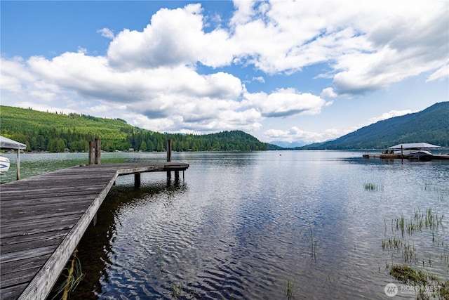 33571 Cliff Rd, Mount Vernon, WA 98274 - dock with a water and mountain view and a wooded view
