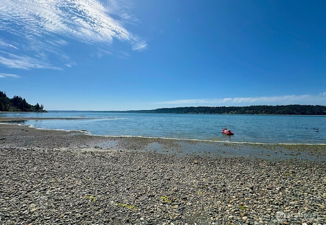 12616 Burnham Dr Unit 14, Gig Harbor, WA 98332 - photo 39