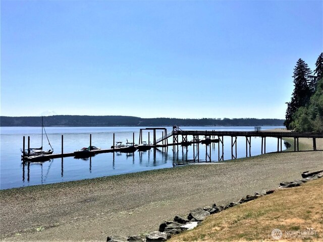11020 Matthews Way, Anderson Island, WA 98303 - dock area with a water view