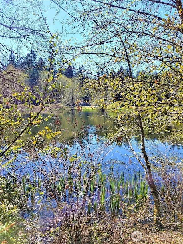11020 Matthews Way, Anderson Island, WA 98303 - water view