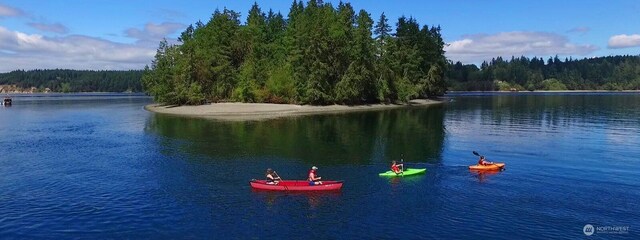 11020 Matthews Way, Anderson Island, WA 98303 - water view with a forest
