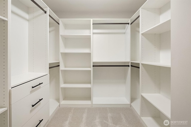 19722 Filbert Dr Unit A-4, Bothell, WA 98012 - spacious closet with carpet