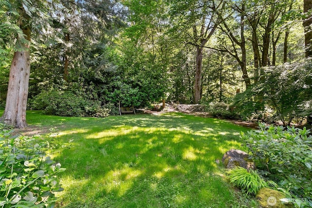 24016 SE 111th St, Issaquah, WA 98027 - view of grassy yard