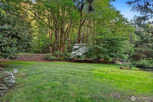 24016 SE 111th St, Issaquah, WA 98027 - view of green lawn