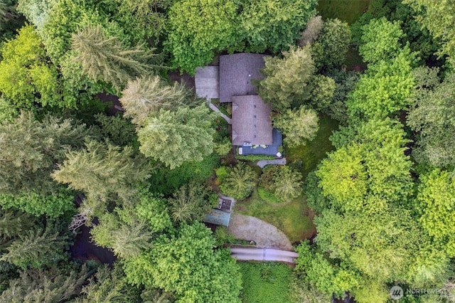 24016 SE 111th St, Issaquah, WA 98027 - bird's eye view