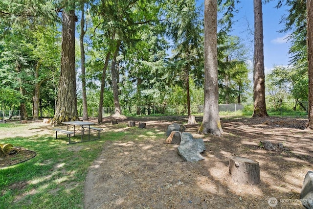 5221 Ivy Hill Ln SE, Lacey, WA 98513 - view of yard