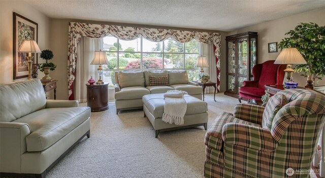 605 Lee Ave, Aberdeen, WA 98520 - carpeted living area with plenty of natural light and a textured ceiling