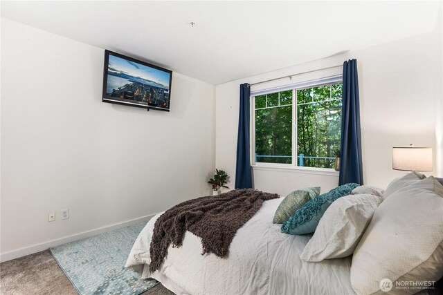 12712 Admiralty Way Unit E-101, Everett, WA 98204 - photo 25