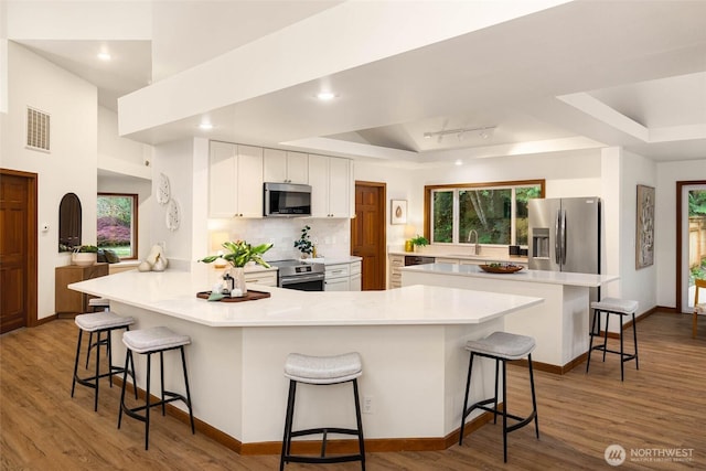 12407 Upper Preston Rd SE, Issaquah, WA 98027 - kitchen with stainless steel appliances, a raised ceiling, a peninsula, a kitchen breakfast bar, and light countertops
