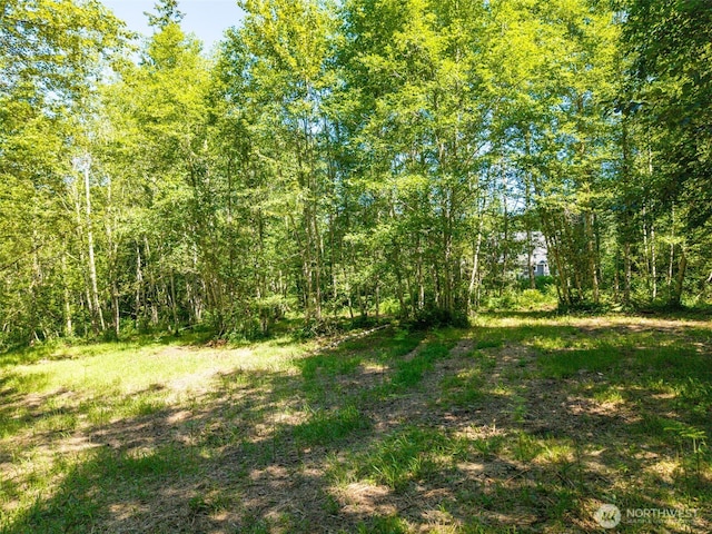 0 236th Ave NE, Woodinville, WA 98077 - photo 3