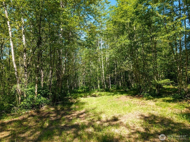 0 236th Ave NE, Woodinville, WA 98077 - photo 4