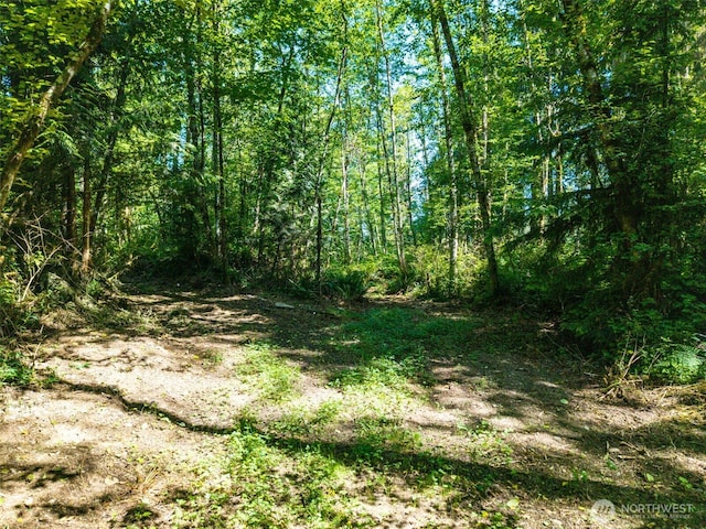 0 236th Ave NE, Woodinville, WA 98077 - photo 10