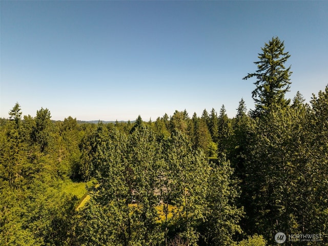 0 236th Ave NE, Woodinville, WA 98077 - photo 12