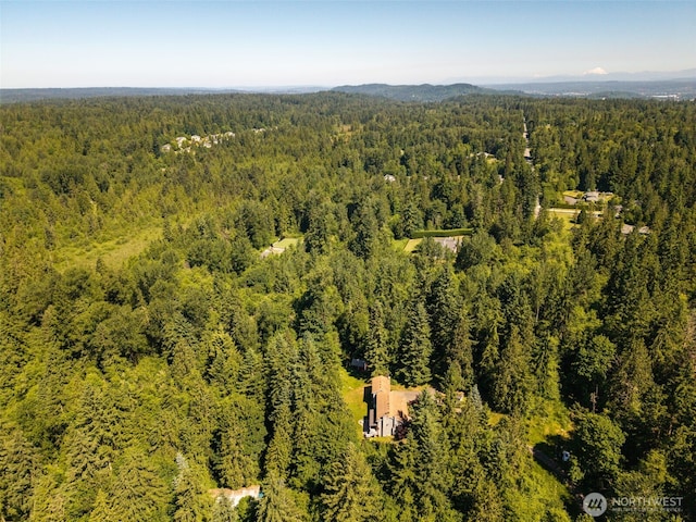 0 236th Ave NE, Woodinville, WA 98077 - photo 19