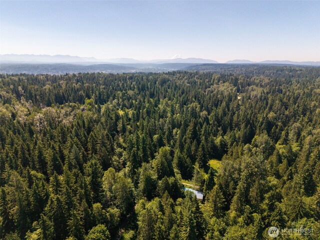 0 236th Ave NE, Woodinville, WA 98077 - photo 21