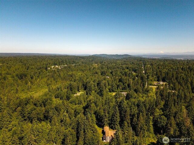 0 236th Ave NE, Woodinville, WA 98077 - photo 22