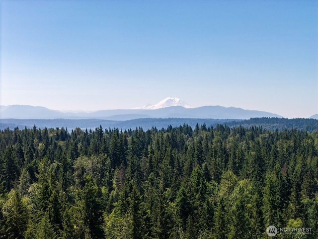 0 236th Ave NE, Woodinville, WA 98077 - photo 23