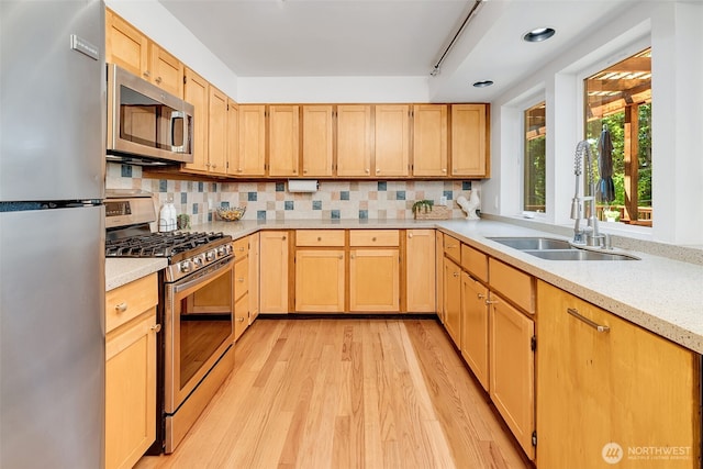 11557 Palatine Ave N, Seattle, WA 98133 - photo 12