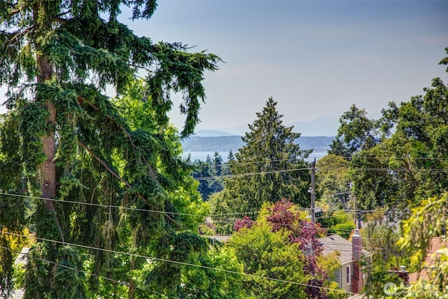 11557 Palatine Ave N, Seattle, WA 98133 - photo 22