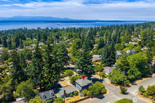 11557 Palatine Ave N, Seattle, WA 98133 - photo 36