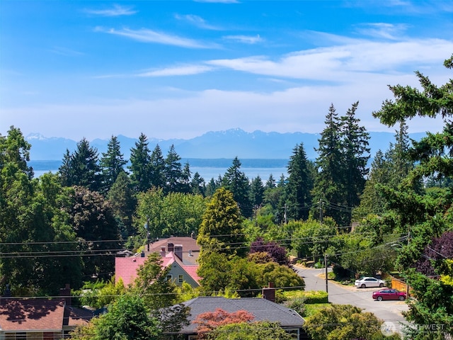 11557 Palatine Ave N, Seattle, WA 98133 - photo 38