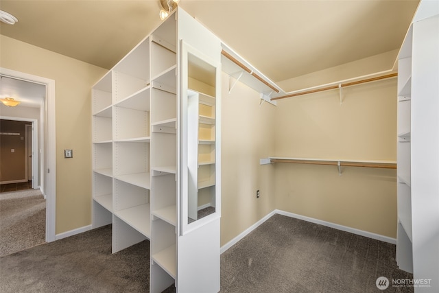 9504 347th St S, Roy, WA 98580 - photo 19