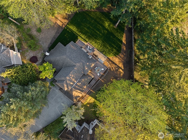 19221 SE 25th St, Sammamish, WA 98075 - view from above of property