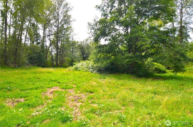 3428 99th Ave NE, Lake Stevens, WA 98258 - view of nature