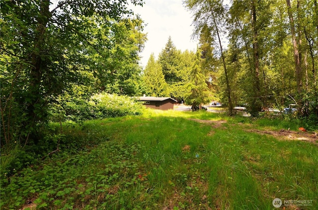 3428 99th Ave NE, Lake Stevens, WA 98258 - view of yard featuring a view of trees