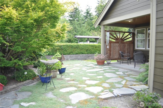 1750 Grand Ave, Mount Vernon, WA 98274 - view of yard