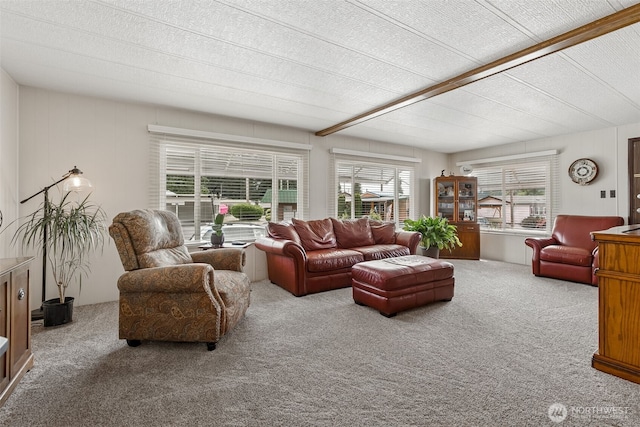 4707 Black Lake Belmore Rd SW Unit 50, Olympia, WA 98512 - living room with carpet floors