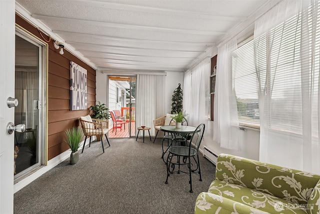 4707 Black Lake Belmore Rd SW Unit 50, Olympia, WA 98512 - sunroom / solarium with carpet floors, wood walls, and a baseboard radiator