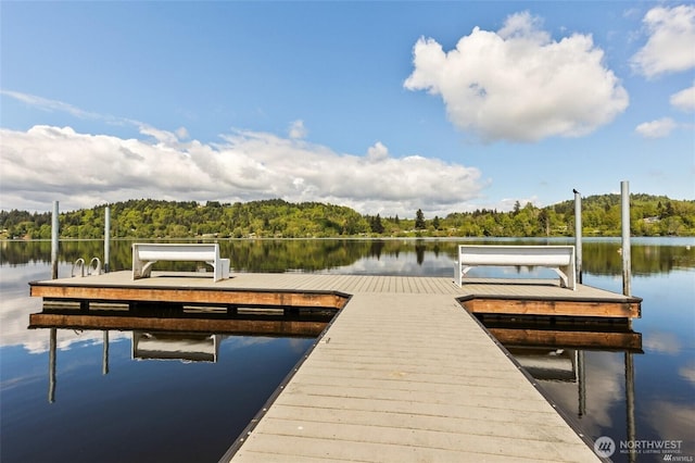 4707 Black Lake Belmore Rd SW Unit 50, Olympia, WA 98512 - dock area featuring a wooded view and a water view