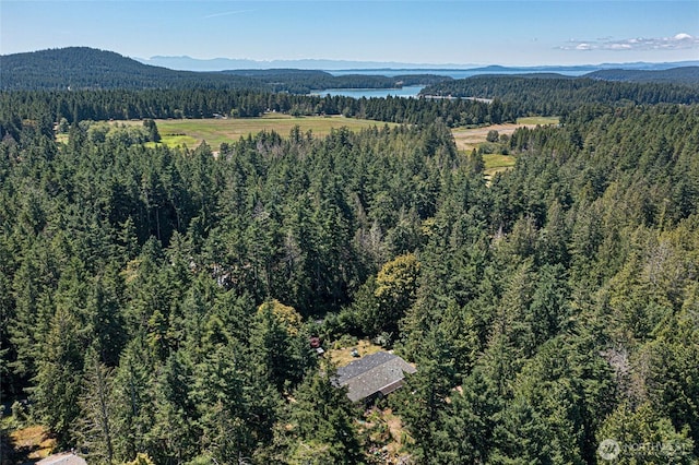 300 Wildflower Ln, Friday Harbor, WA 98250 - photo 29
