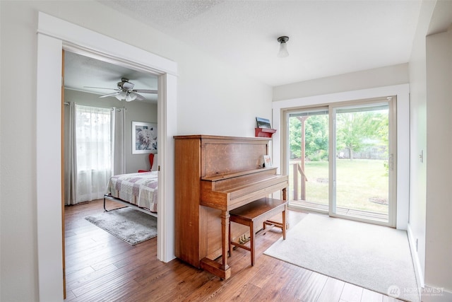 614 16th St SW, Puyallup, WA 98371 - living area with healthy amount of natural light, wood finished floors, and ceiling fan