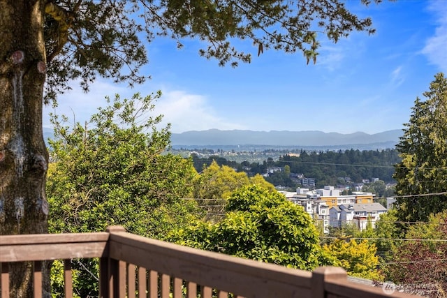 3817 SW Dakota St, Seattle, WA 98126 - photo 40