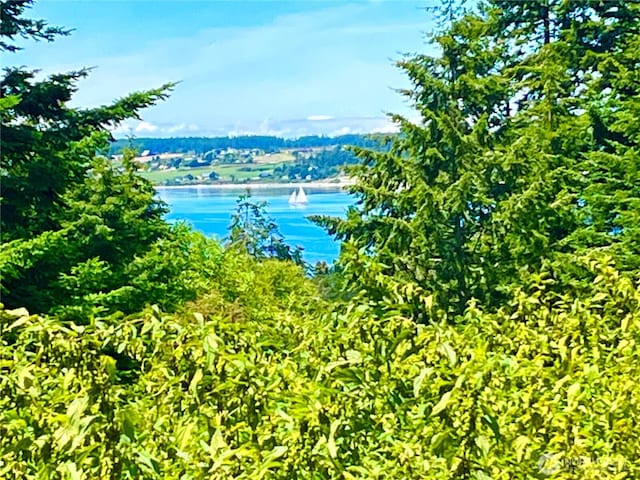 980 NE Pennington Loop, Coupeville, WA 98239 - photo 2