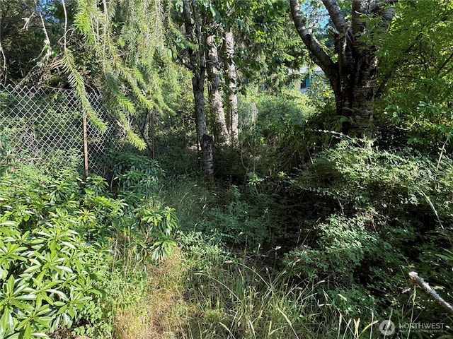 980 NE Pennington Loop, Coupeville, WA 98239 - photo 3