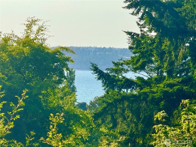 980 NE Pennington Loop, Coupeville, WA 98239 - photo 8