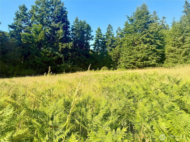 980 NE Pennington Loop, Coupeville, WA 98239 - photo 10