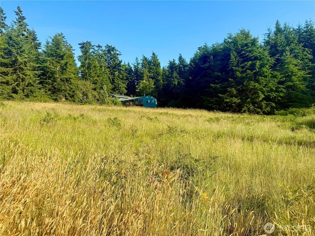 980 NE Pennington Loop, Coupeville, WA 98239 - photo 11
