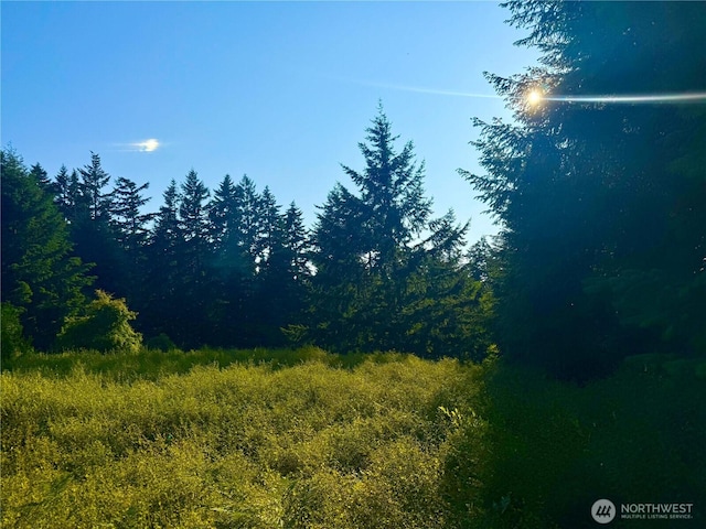 980 NE Pennington Loop, Coupeville, WA 98239 - photo 12