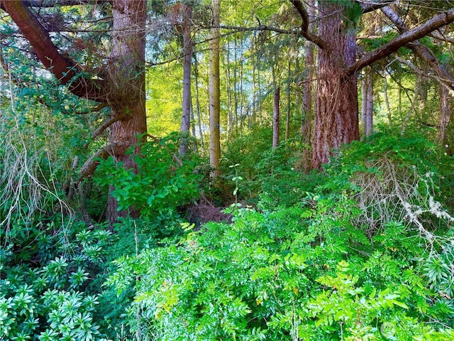980 NE Pennington Loop, Coupeville, WA 98239 - photo 13