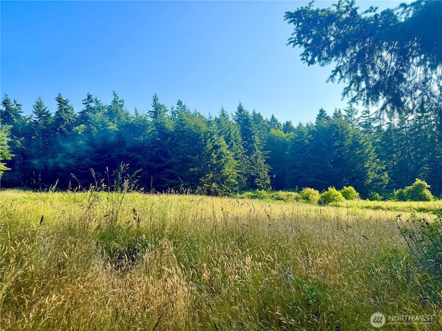 980 NE Pennington Loop, Coupeville, WA 98239 - photo 15