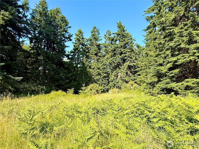 980 NE Pennington Loop, Coupeville, WA 98239 - photo 19